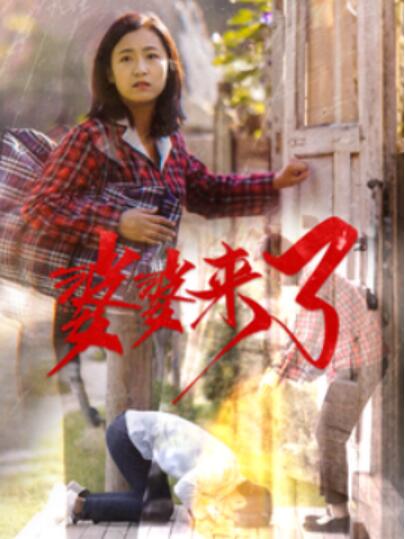 《婆婆来了》短剧高清全集免费在线观看