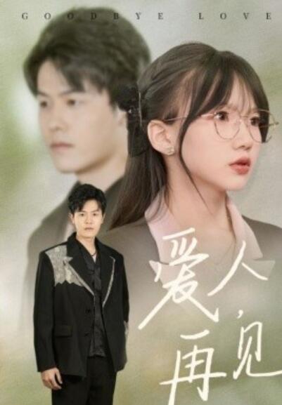《爱人，再见》短剧高清全集免费在线观看