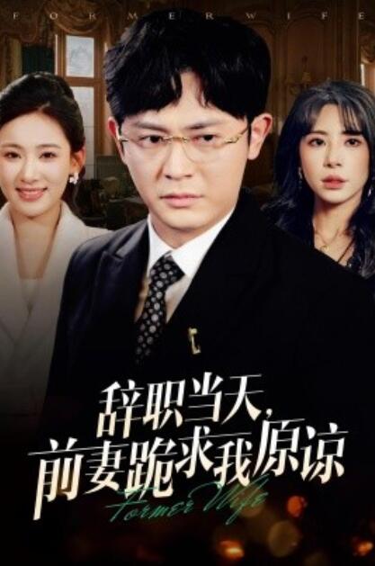 《辞职当天，前妻哭着求我原谅》短剧高清全集免费在线观看
