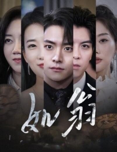 《如翁》短剧高清全集免费在线观看