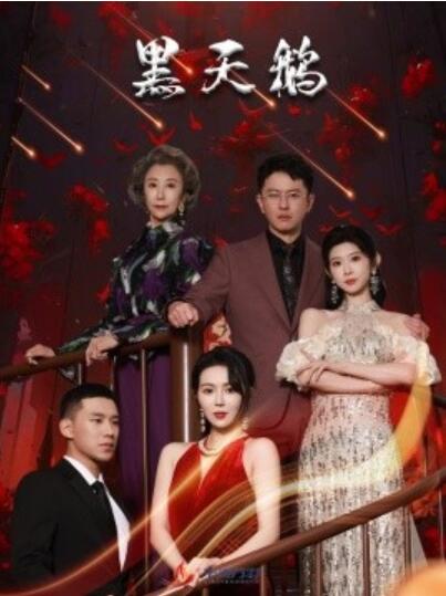 《黑天鹅》短剧高清全集免费在线观看