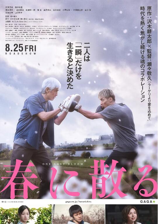 《凋零在春天》电影高清全集免费在线观看