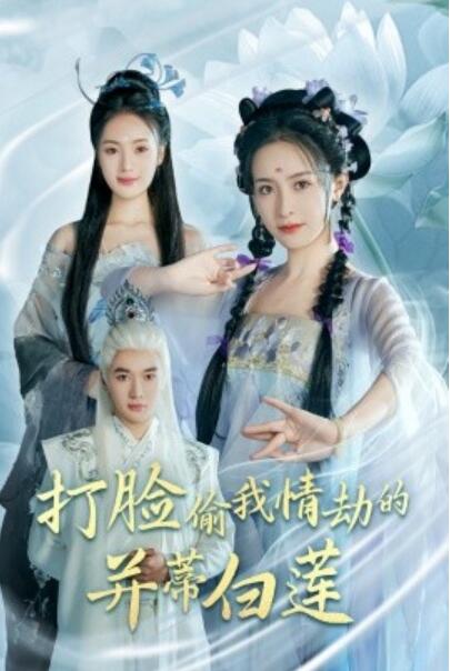 《打脸偷我情劫的并蒂白莲》短剧高清全集免费在线观看