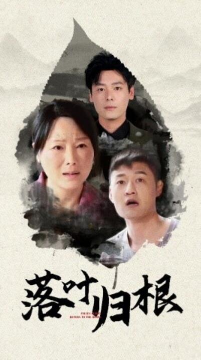 《落叶归根》短剧高清全集免费在线观看