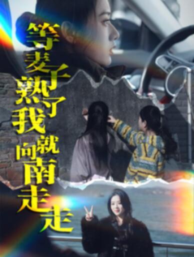 《等麦子熟了我就向南走走》短剧高清全集免费在线观看