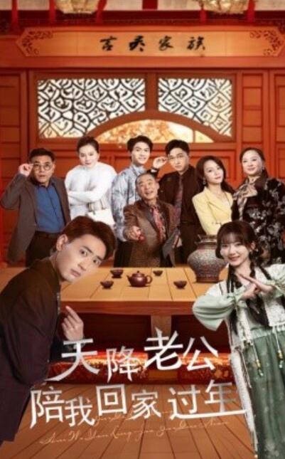 《天降老公陪我回家过年》短剧高清全集免费在线观看