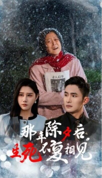 《那年除夕后，生死不复相见》短剧高清全集免费在线观看