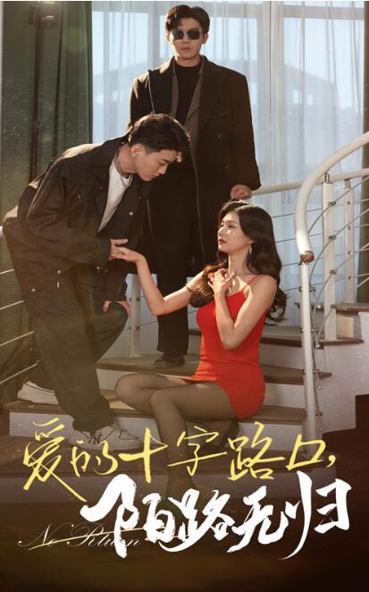 《爱的十字路口陌路无归》短剧高清全集免费在线观看