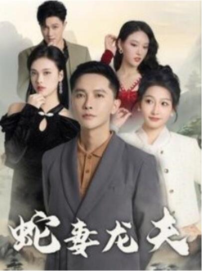 《蛇妻龙夫》短剧高清全集免费在线观看