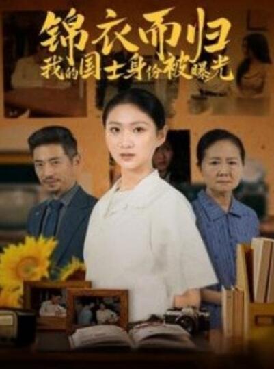 《锦衣而归我的国士身份被曝光》短剧高清全集免费在线观看