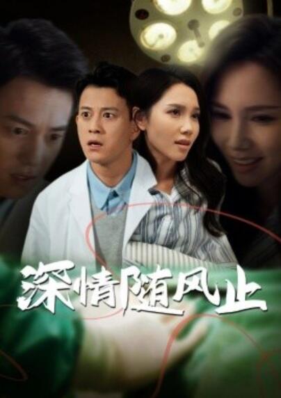 《深情随风止》短剧高清全集免费在线观看