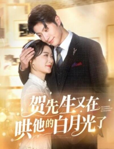 《贺先生又在哄他的白月光了》短剧高清全集免费在线观看