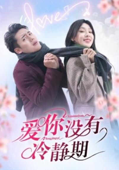 《爱你没有冷静期》短剧高清全集免费在线观看