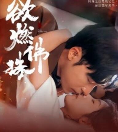 《欲燃佛珠》短剧高清全集免费在线观看