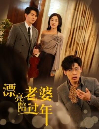 《漂亮老婆陪过年》短剧高清全集免费在线观看