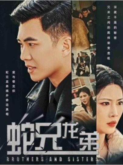 《蛇兄龙弟》短剧高清全集免费在线观看