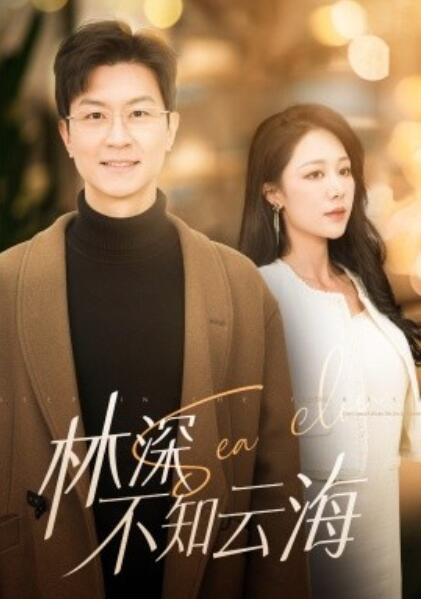 《林深不知云海》短剧高清全集免费在线观看