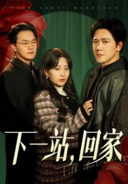 《下一站回家》短剧高清全集免费在线观看