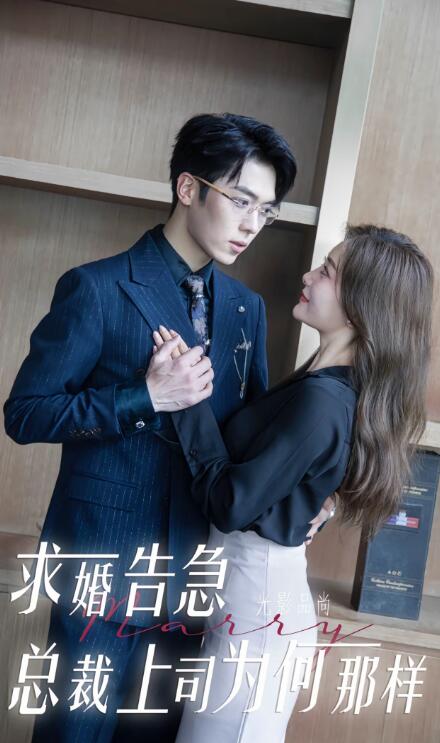 《求婚告急总裁上司为何那样》短剧高清全集免费在线观看