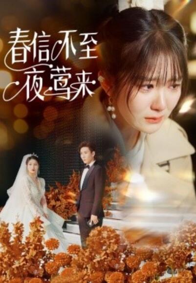 《春信不至夜莺来》短剧高清全集免费在线观看