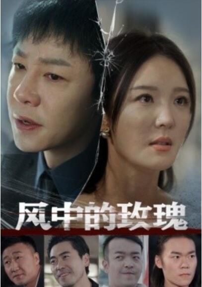 《风中的玫瑰》短剧高清全集免费在线观看
