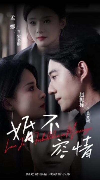 《婚不容情》短剧高清全集免费在线观看