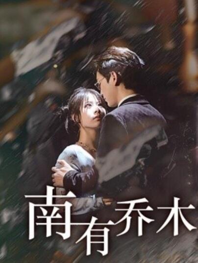 《南有乔木》短剧高清全集免费在线观看