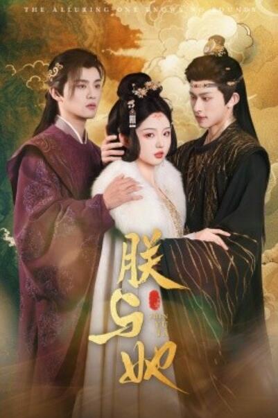 《朕与她》短剧高清全集免费在线观看