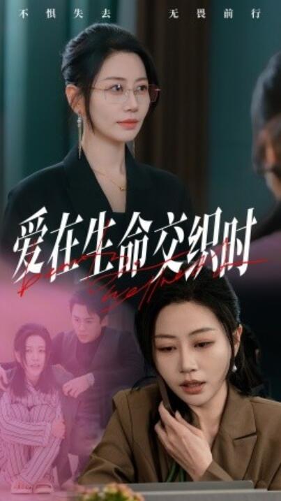 《爱在生命交织时》短剧高清全集免费在线观看