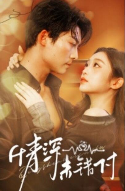 《情深未错付》短剧高清全集免费在线观看