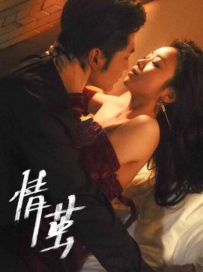 《情茧》短剧高清全集免费在线观看