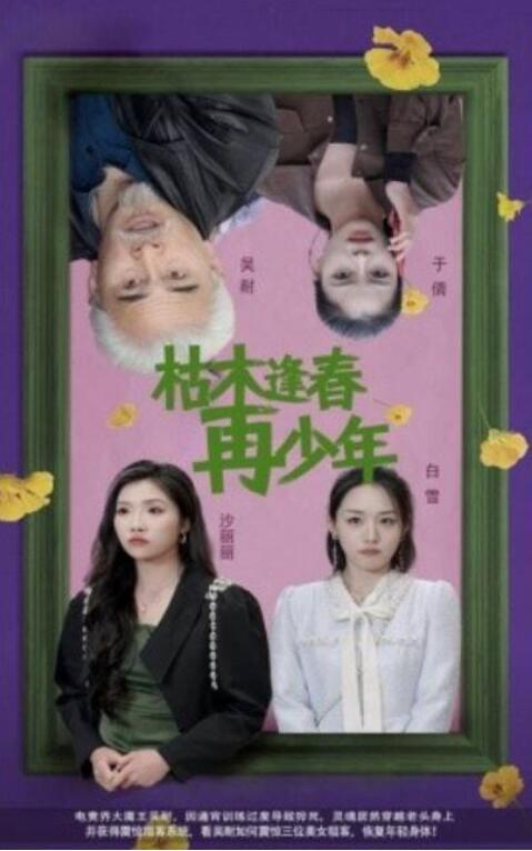 《枯木逢春再少年》短剧高清全集免费在线观看