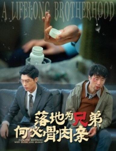 《落地为兄弟,何必骨肉亲》短剧高清全集免费在线观看