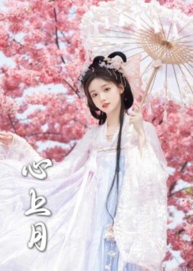 《心上月》短剧高清全集免费在线观看