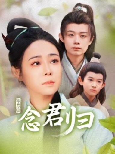 《念君归》短剧高清全集免费在线观看