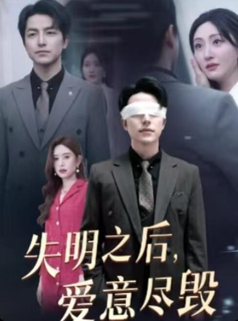 《失明之后，爱意尽毁》短剧高清全集免费在线观看