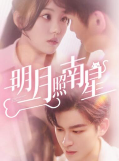 《明月照南星》短剧高清全集免费在线观看