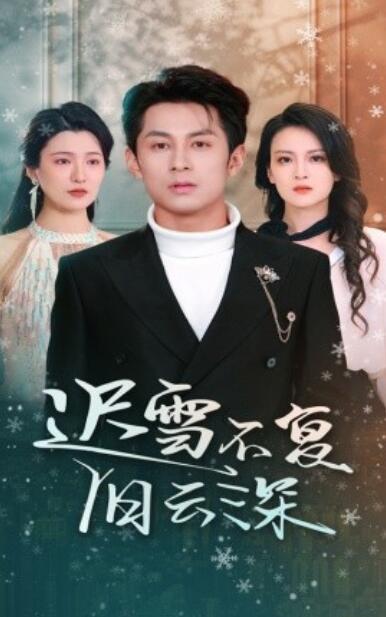 《迟雪不复旧云深》短剧高清全集免费在线观看