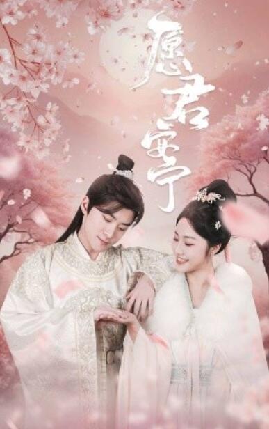 《愿君安宁》短剧高清全集免费在线观看