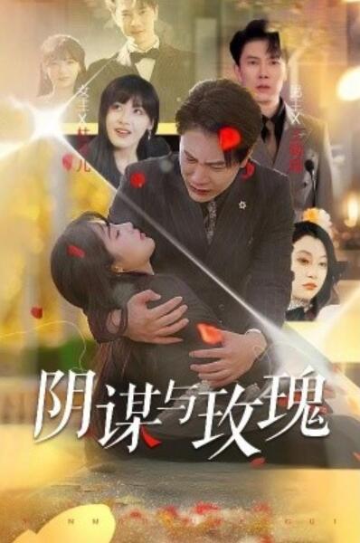 《阴谋与玫瑰》短剧高清全集免费在线观看