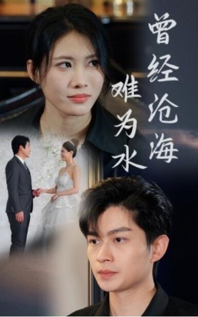 《曾经沧海难为水》短剧高清全集免费在线观看