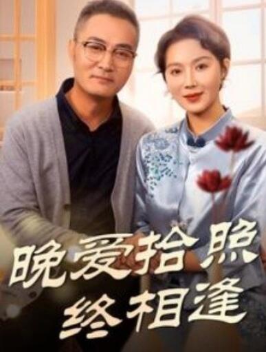 《晚爱拾照终相逢》短剧高清全集免费在线观看