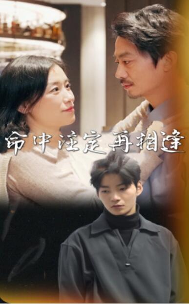 《命中注定再相逢》短剧高清全集免费在线观看