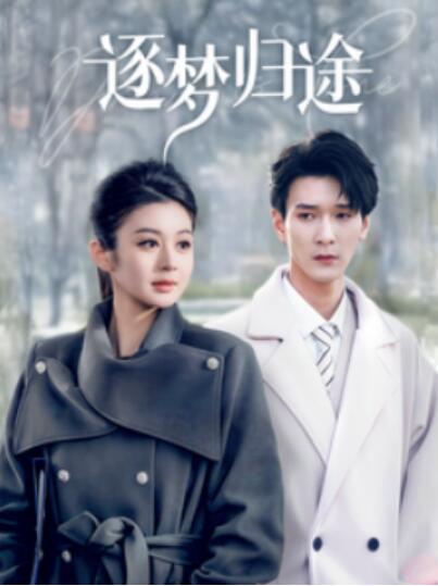 《逐梦归途》短剧高清全集免费在线观看