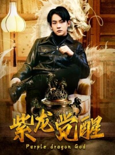 《紫龙觉醒》短剧高清全集免费在线观看