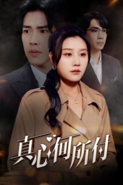 《真心何所付》短剧高清全集免费在线观看
