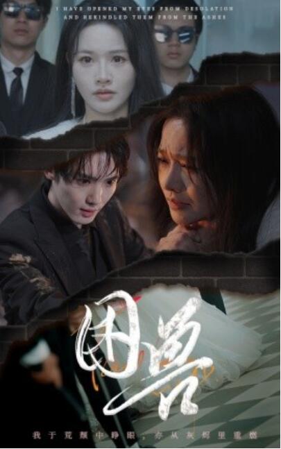 《困兽》短剧高清全集免费在线观看