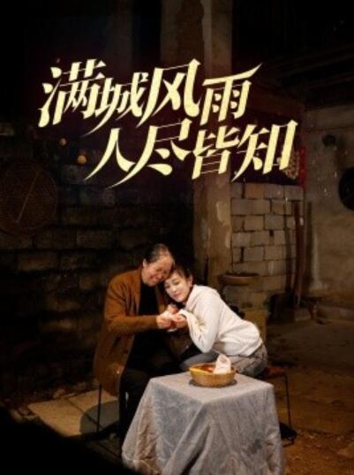 《满城风雨人尽皆知》短剧高清全集免费在线观看