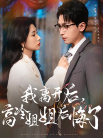 《我离开后，高冷姐姐后悔了》短剧高清全集免费在线观看