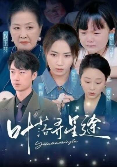 《叶落寻星途》短剧高清全集免费在线观看